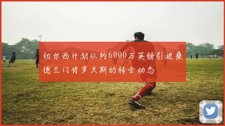 切尔西计划以约6000万英镑引进桑德兰门将罗夫斯的转会动态